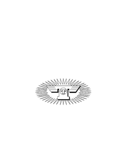 TT trademark