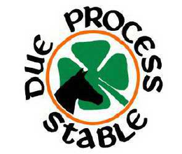 DUE PROCESS STABLE trademark