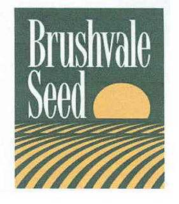 BRUSHVALE SEED trademark