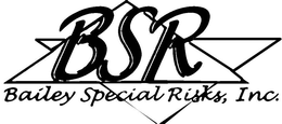 BSR BAILEY SPECIAL RISKS, INC. trademark