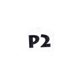 P2 trademark