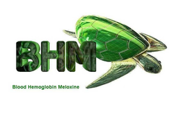 BHM BLOOD HEMOGLOBIN MELOXINE trademark