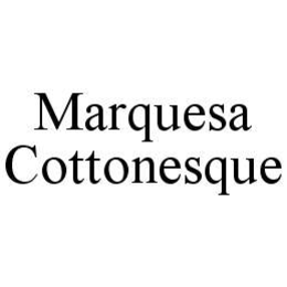 MARQUESA COTTONESQUE trademark