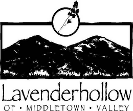 LAVENDERHOLLOW OF MIDDLETOWN VALLEY trademark