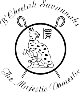 B'CHEETAH SAVANNAHS THE MAJESTIC DOMESTIC trademark