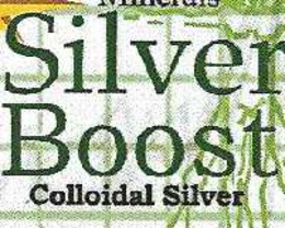 SILVER SOLUTION trademark