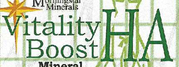 VITALITY BOOST HA trademark