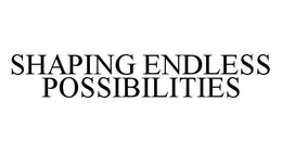 SHAPING ENDLESS POSSIBILITIES trademark