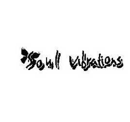 SOUL VIBRATIONS trademark