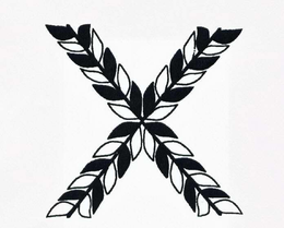 X (DESIGN) trademark