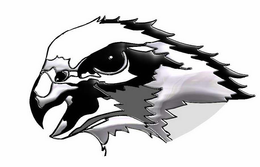 FALCON DEFENSE GROUP trademark