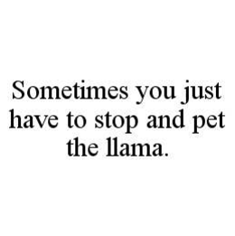 SOMETIMES YOU JUST HAVE TO STOP AND PET THE LLAMA. trademark