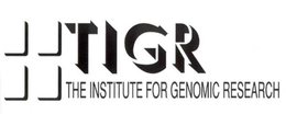 TIGR THE INSTITUTE FOR GENOMIC RESEARCH trademark