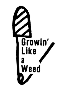 GROWIN' LIKE A WEED trademark
