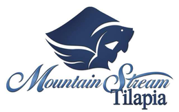MOUNTAIN STREAM TILAPIA trademark