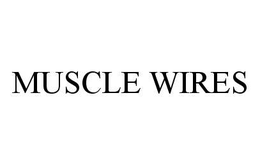 MUSCLE WIRES trademark