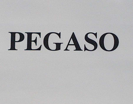 PEGASO trademark