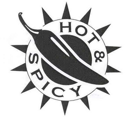 HOT & SPICY trademark