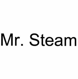 MR. STEAM trademark
