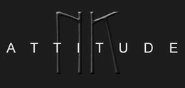 NK ATTITUDE trademark