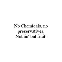 NO CHEMICALS, NO PRESERVATIVES.  NOTHIN' BUT FRUIT! trademark