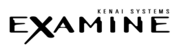 KENAI SYSTEMS EXAMINE trademark