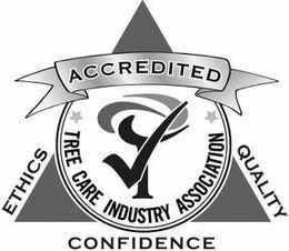 TREE CARE INDUSTRY ASSOCIATION ACCREDITED ETHICS QUALITY CONFIDENCE trademark