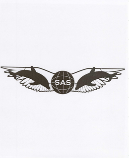 SAS trademark