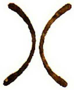C trademark