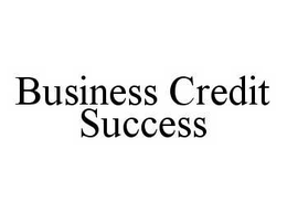 BUSINESS CREDIT SUCCESS trademark