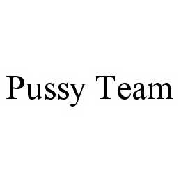 PUSSY TEAM trademark