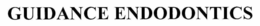 GUIDANCE ENDODONTICS trademark