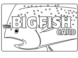 THE BIG FISH CARD trademark