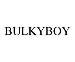 BULKYBOY trademark
