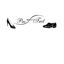 PRO TECT trademark