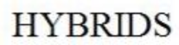 HYBRID trademark