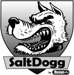SALT DOGG BY BUYERS PRODUCTS COMPANY BPC trademark