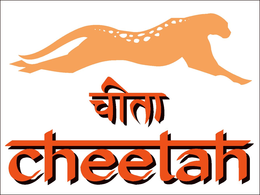 CHEETAH trademark