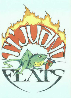 TI'JUANA FLATS trademark