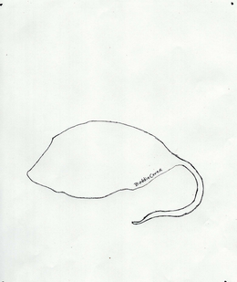 BUDDIECOVER trademark