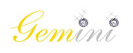 GEMINI trademark