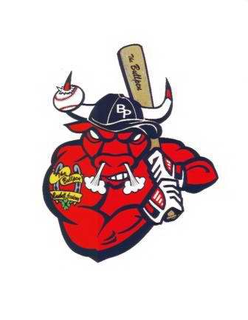 THE BULLPEN BASEBALL ACADEMY trademark