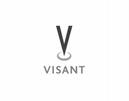 V VISANT trademark