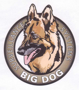 BIG DOG SURVEILLANCE SYSTEMS trademark