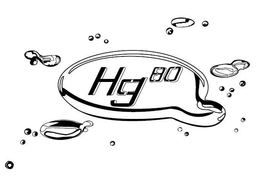 HG80 trademark