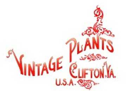 VINTAGE PLANTS CLIFTON, VA. U.S.A. trademark