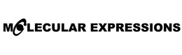 MOLECULAR EXPRESSIONS trademark