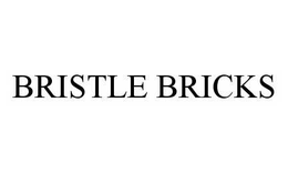 BRISTLE BRICKS trademark
