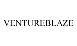 VENTUREBLAZE trademark