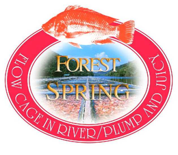 FOREST SPRING FLOW CAGE IN RIVER/PLUMP AND JUICY trademark